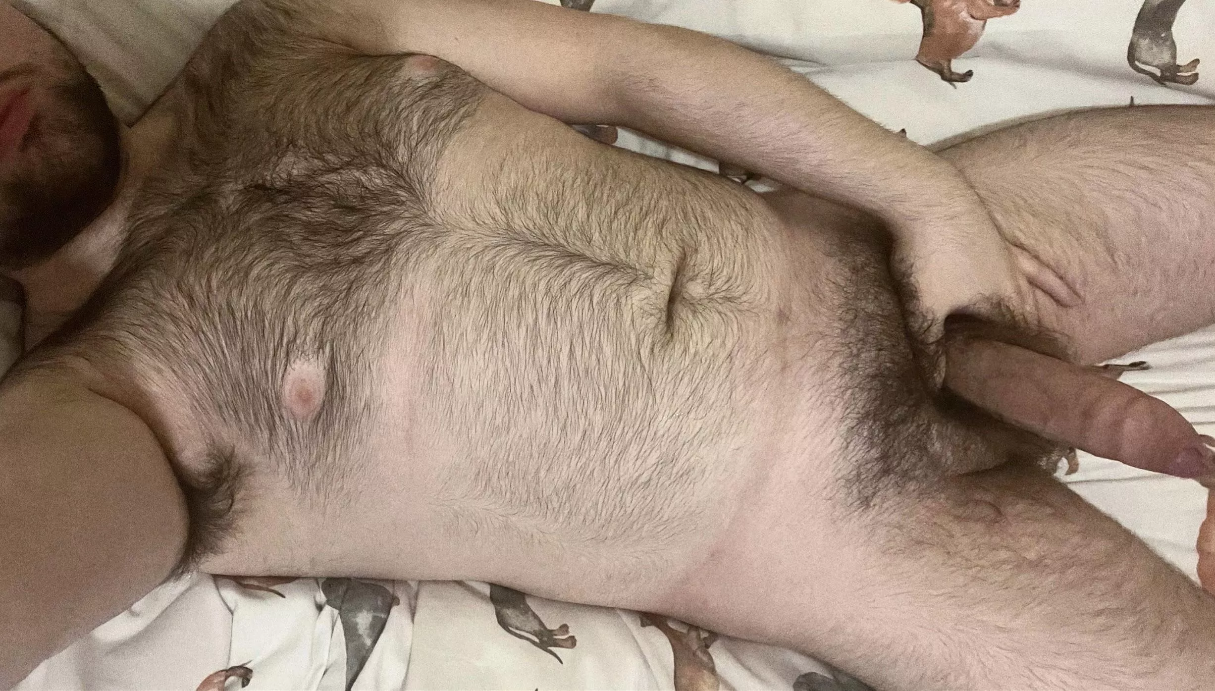 Feel all this fur as you suck my cock🐻 Feel all this fur as you suck my cock🐻