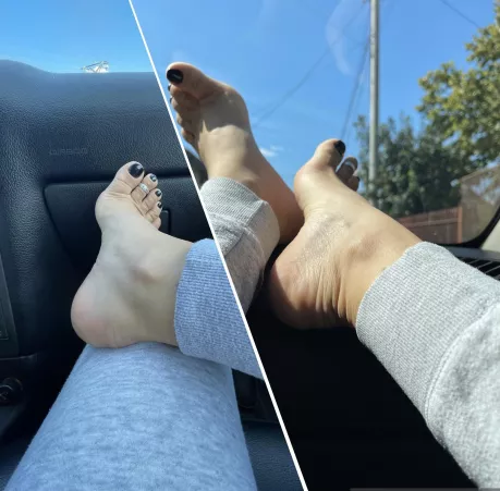 Feel free to touch them ๐๐