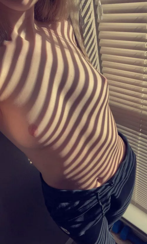 (f)eelin like a zebra today (f)eelin like a zebra today