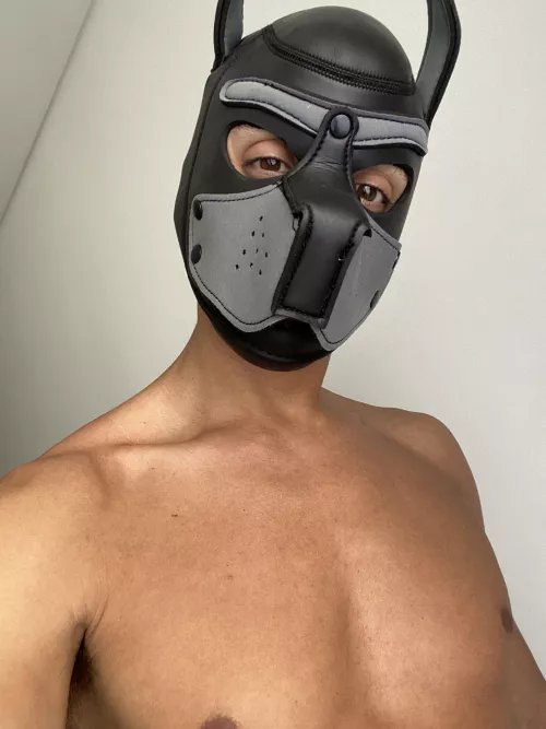 Feeling a bit tired today, but up to some playing 😊