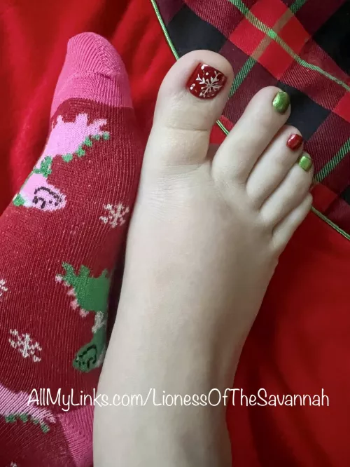 Feeling Festive! π Do you like my fresh Christmas pedicure?! β€οΈβοΈπ