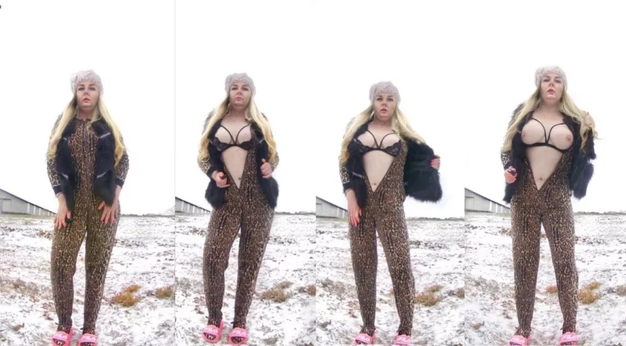 [f]eeling frisky – rawr