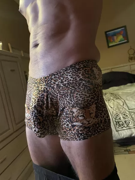 Feeling good right about meow. Feeling good right about meow.