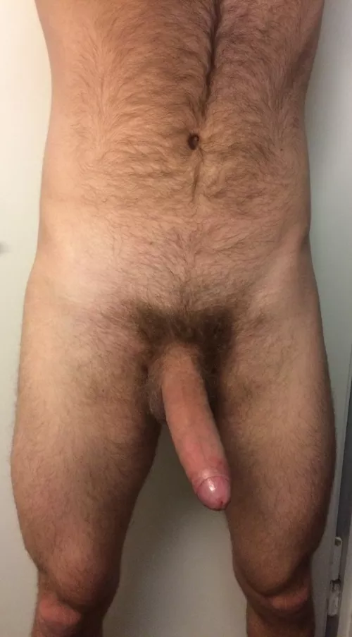 Feeling it again, the need to breed