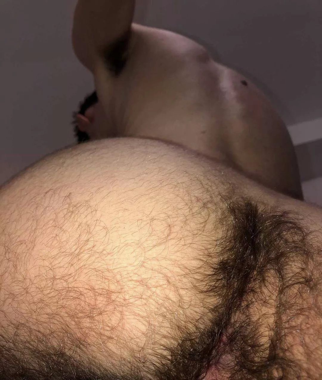 Feeling obedient Feeling obedient