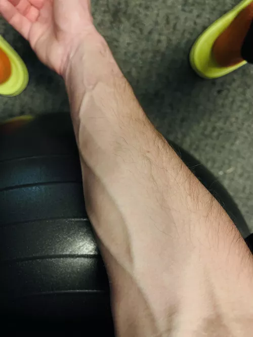 Feeling veiny… just your regular software engineer/ultrarunner Feeling veiny… just your regular software engineer/ultrarunner