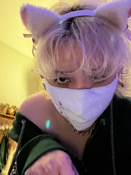 feeling very catboy rn