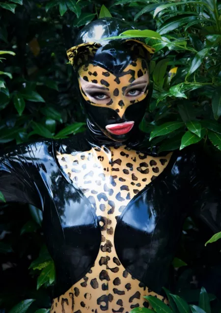Felis Feral Felis Feral