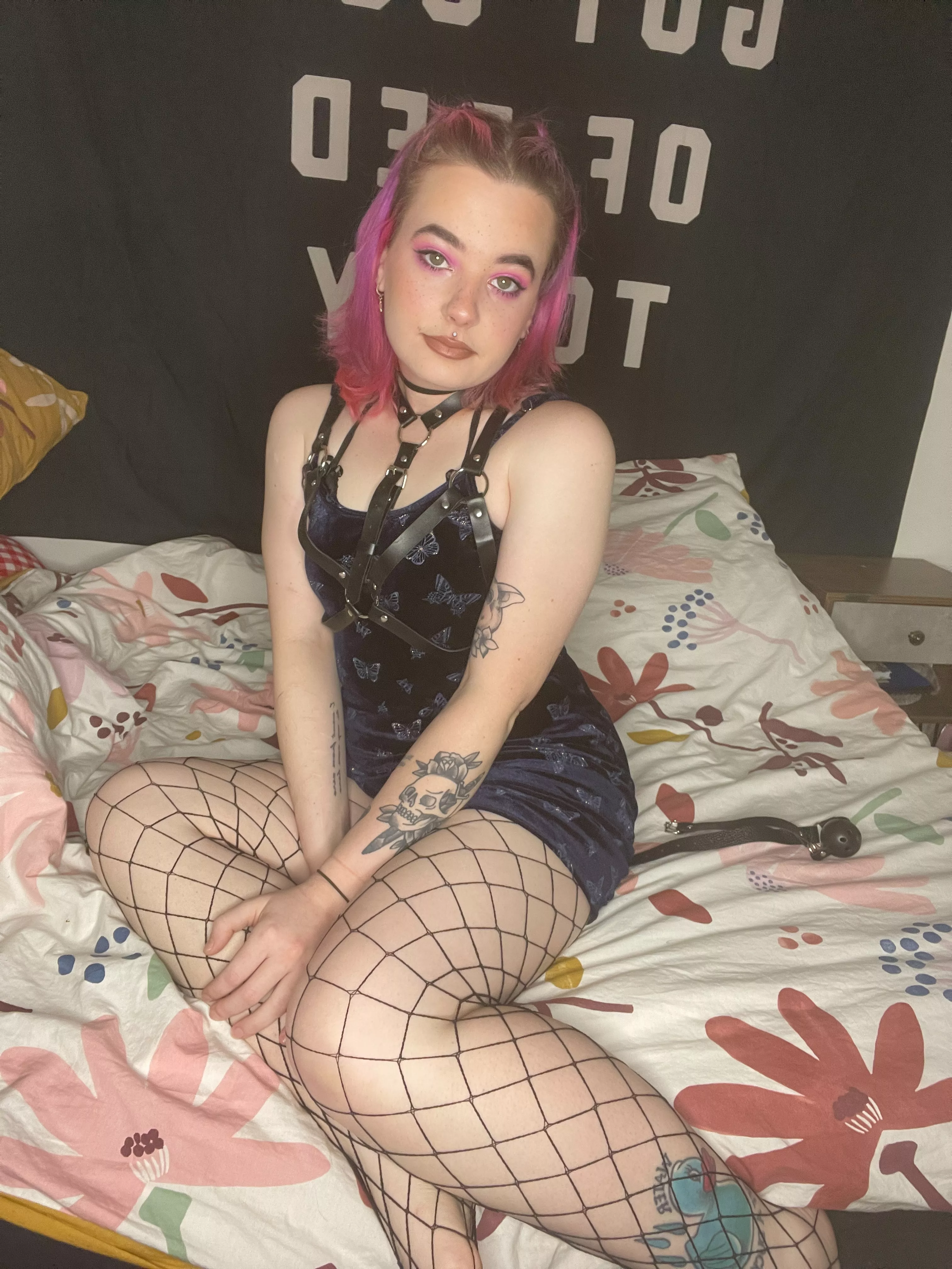 felt cute x felt cute x