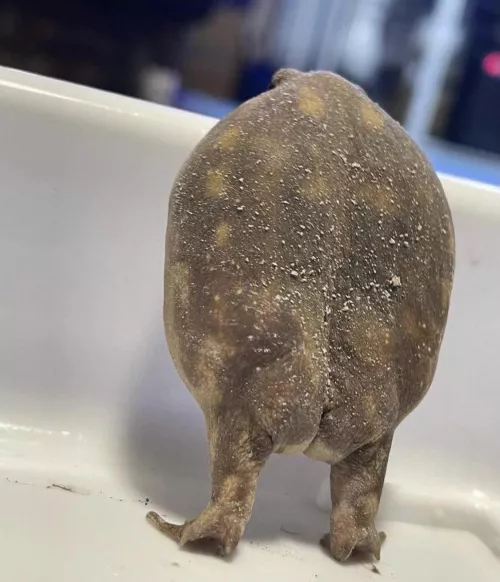 Felt kinda cute, might delete later 😌🥰 Felt kinda cute, might delete later 😌🥰
