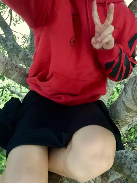 Femboy in a tree, what will he do Femboy in a tree, what will he do