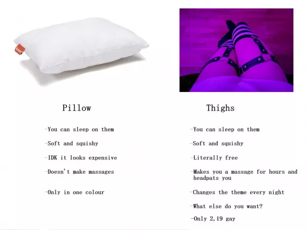 Femboys>pillow Femboys>pillow