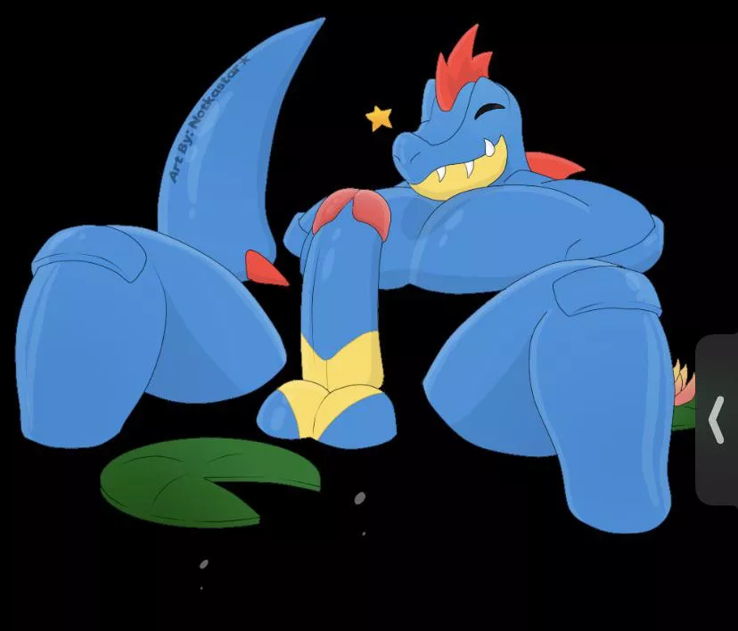 Feraligatr Feraligatr