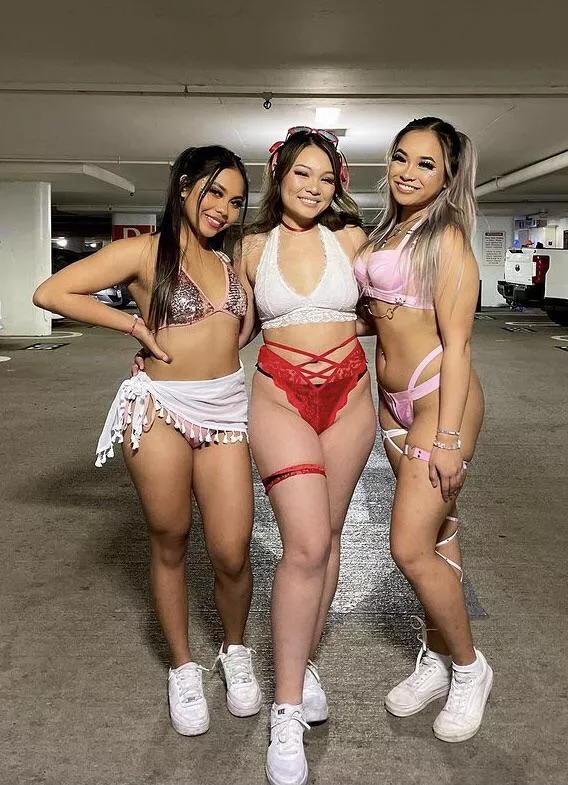 Festival Fun Festival Fun