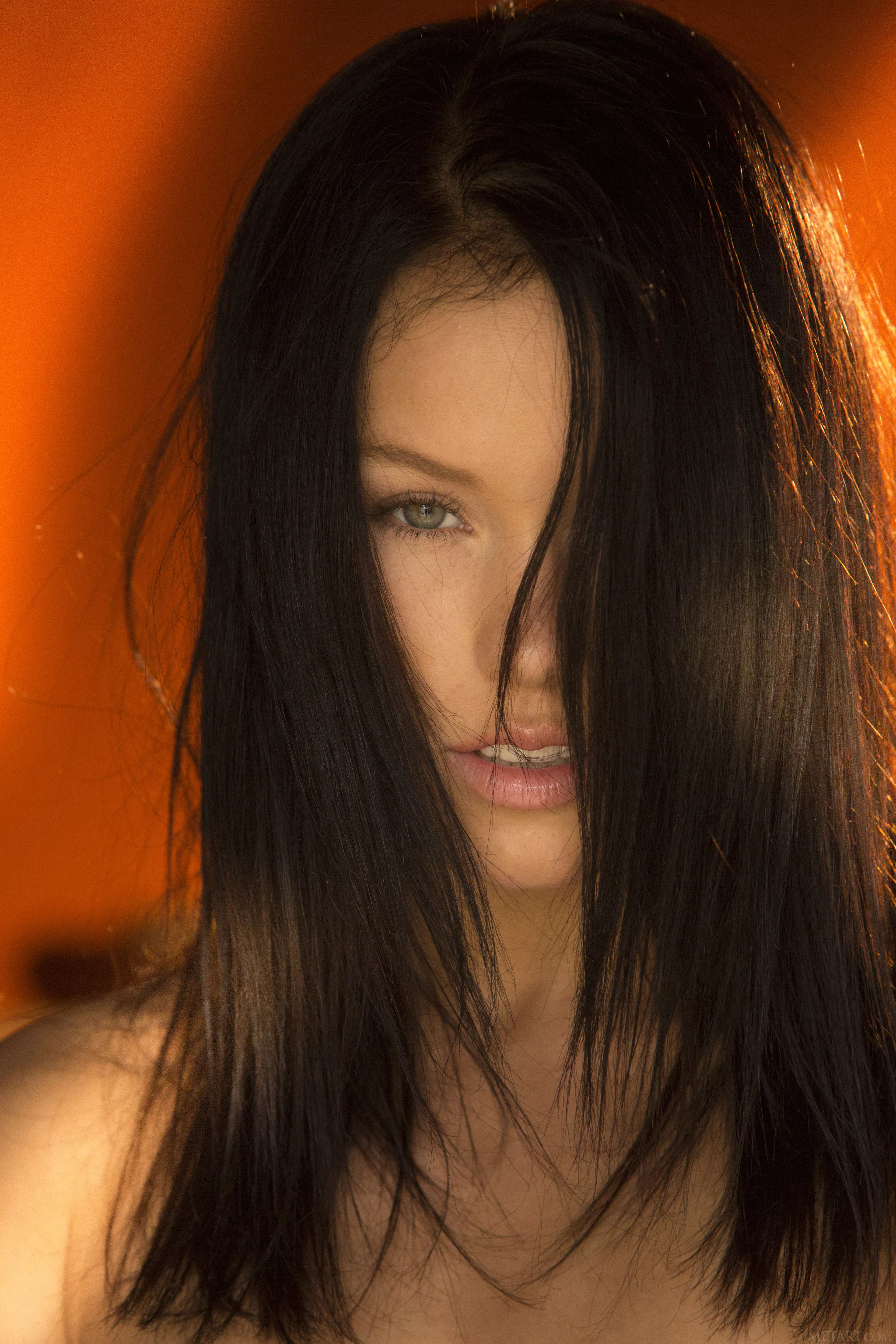 Fidelity (UHQ)