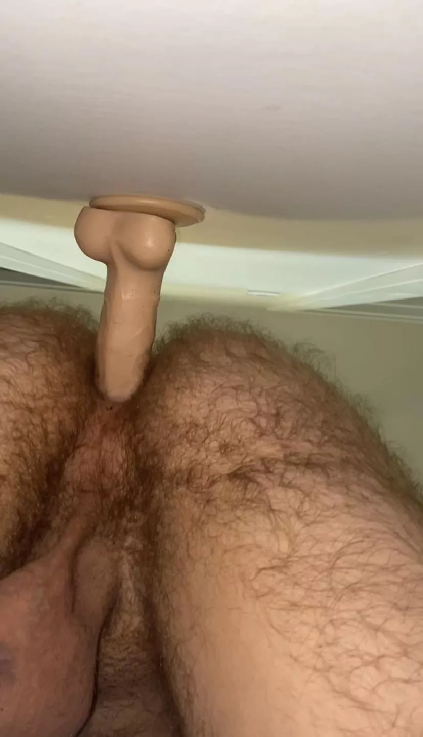 Fill My Hairy Ass Nudes Hairymanass Nude Pics Org