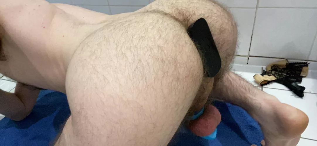 Filled and caged like a good little anal whore