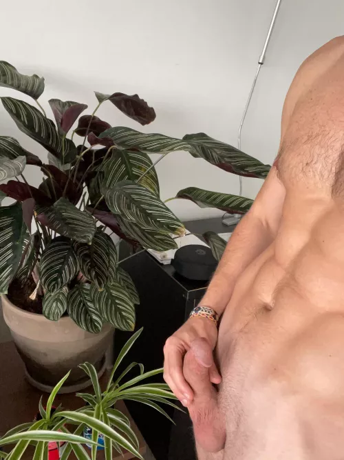 Finally embracing myself. Any love for a 27yo bisexual guy?