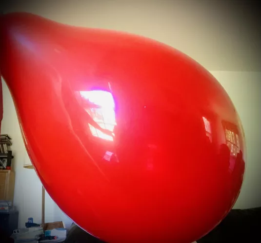 Finally found some alone time to indulge in my balloon fetish with a beautifully tight Q24”… (OC)