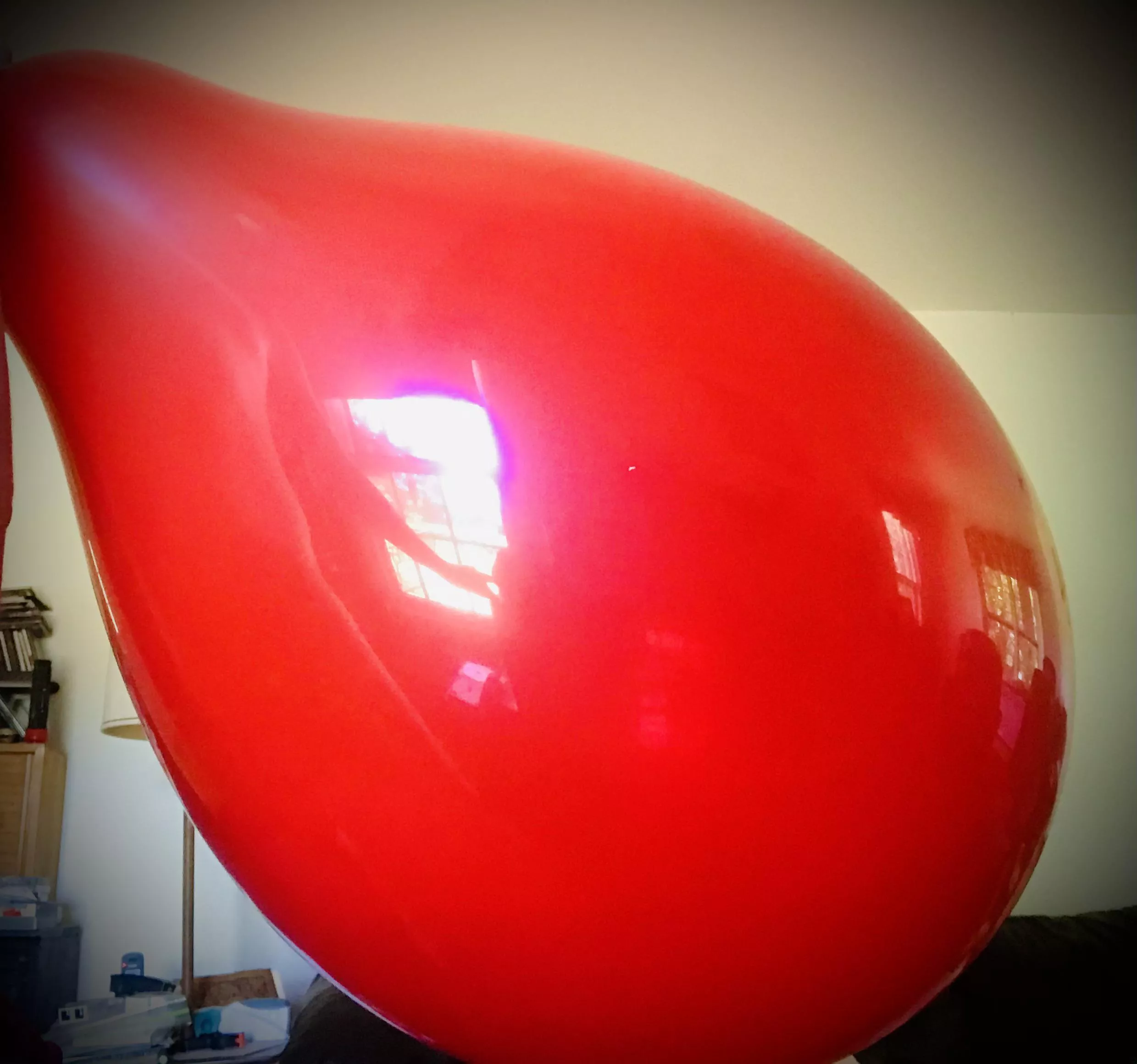 Finally found some alone time to indulge in my balloon fetish with a beautifully tight Q24”… (OC)