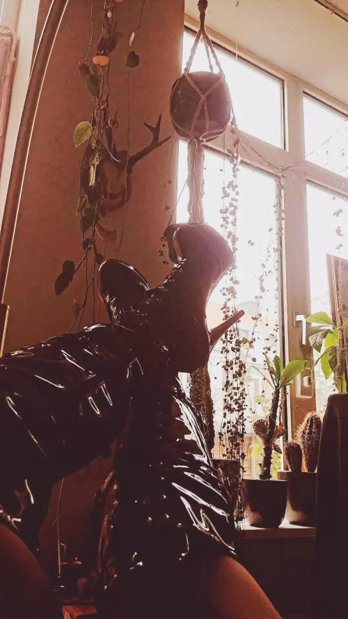 Finally got them 😍 [f]