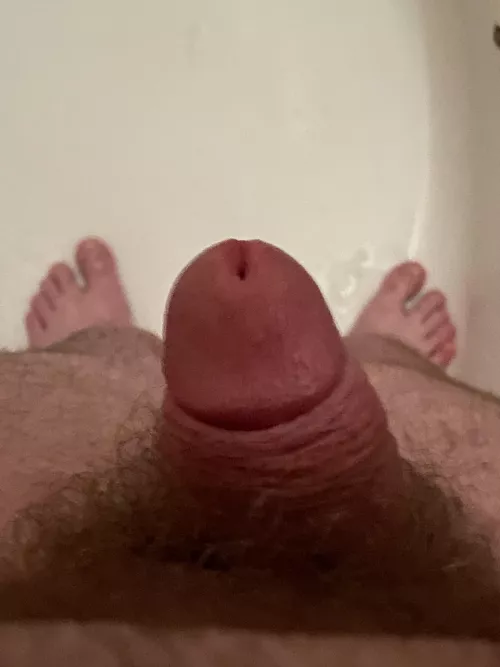 Finally managed to get mostly hard in the shower this morning. How do you compare?