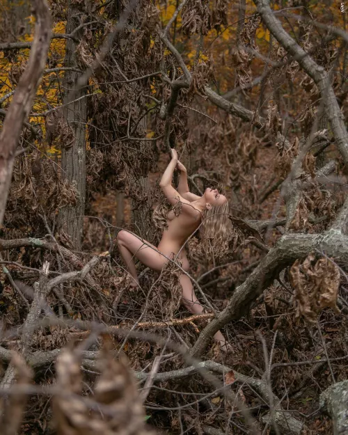 Find me in the trees Find me in the trees