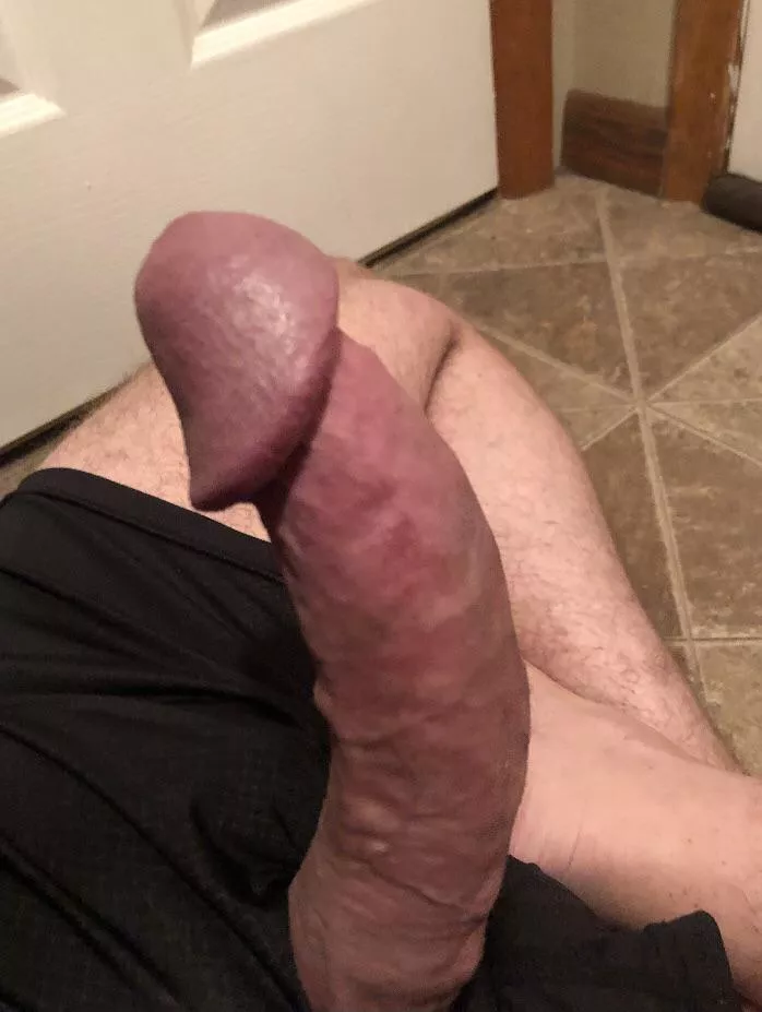 First post. Do you like it?