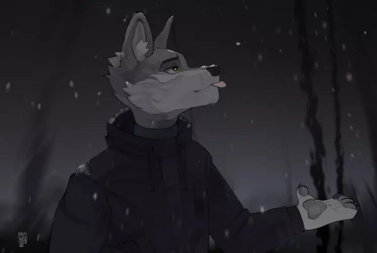 First snow By AlikArs