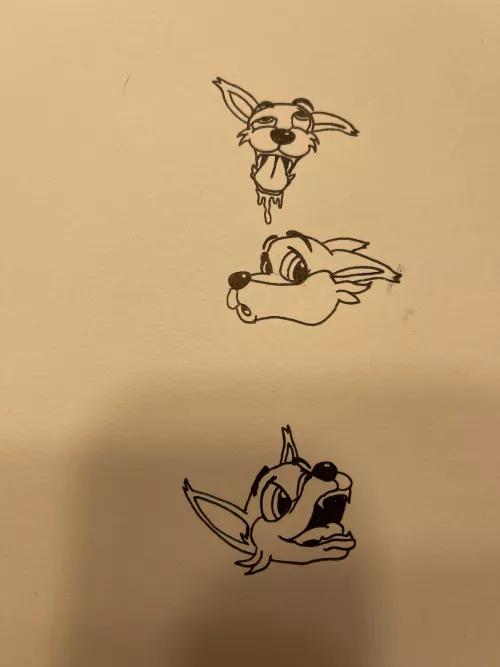 First time drawing furries. Just a quick face study for a character I whipped up. Thoughts?