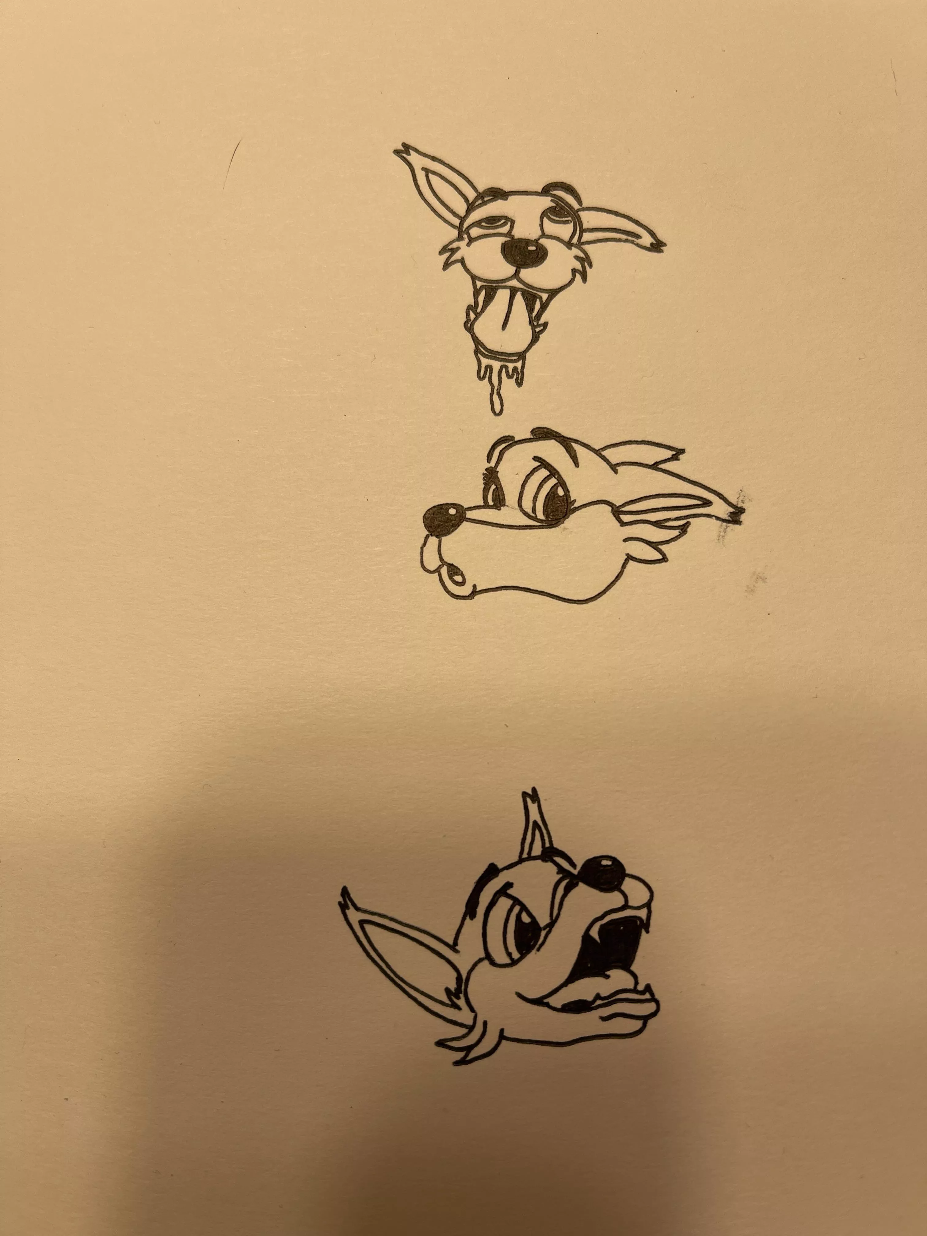 First time drawing furries. Just a quick face study for a character I whipped up. Thoughts?