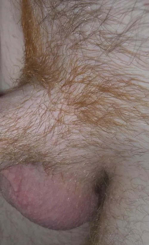 first time im pound of my fire crotch first time im pound of my fire crotch