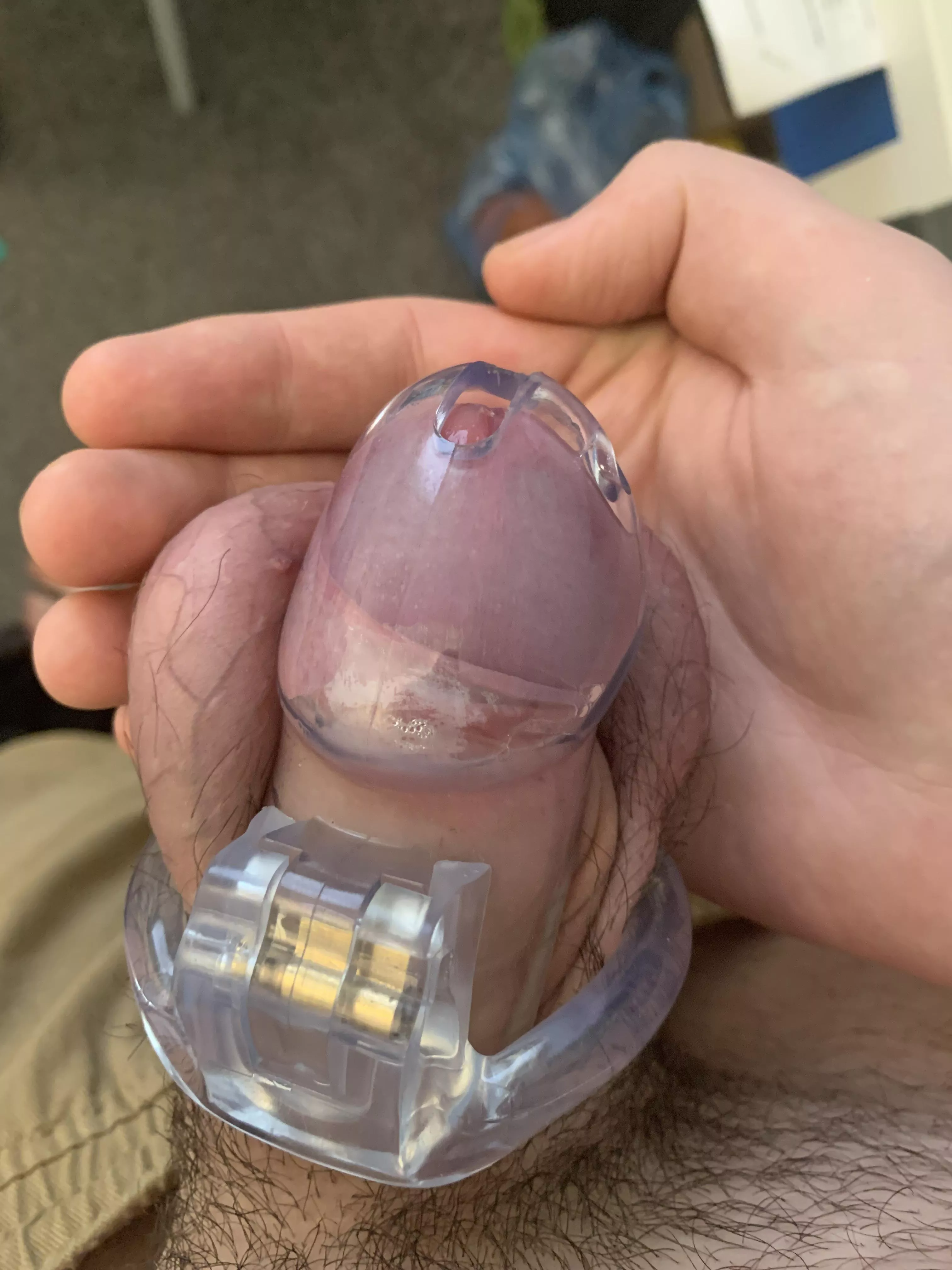 First time in a cage! Opinions? First time in a cage! Opinions?