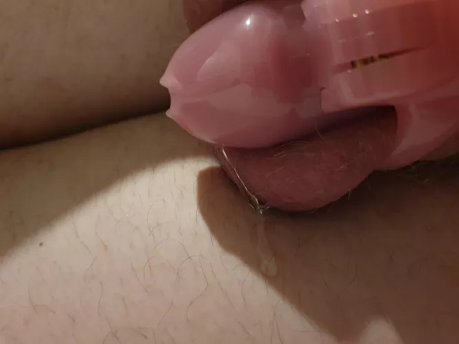 First time trying longer then 2 days 24/7 locked. Been locked since last week Friday and have been teased a lot by friends. Yesterday was one of the most horny days so far. But today while still having been very horny I've barely gotten hard anymore Γ°ΕΈΛ