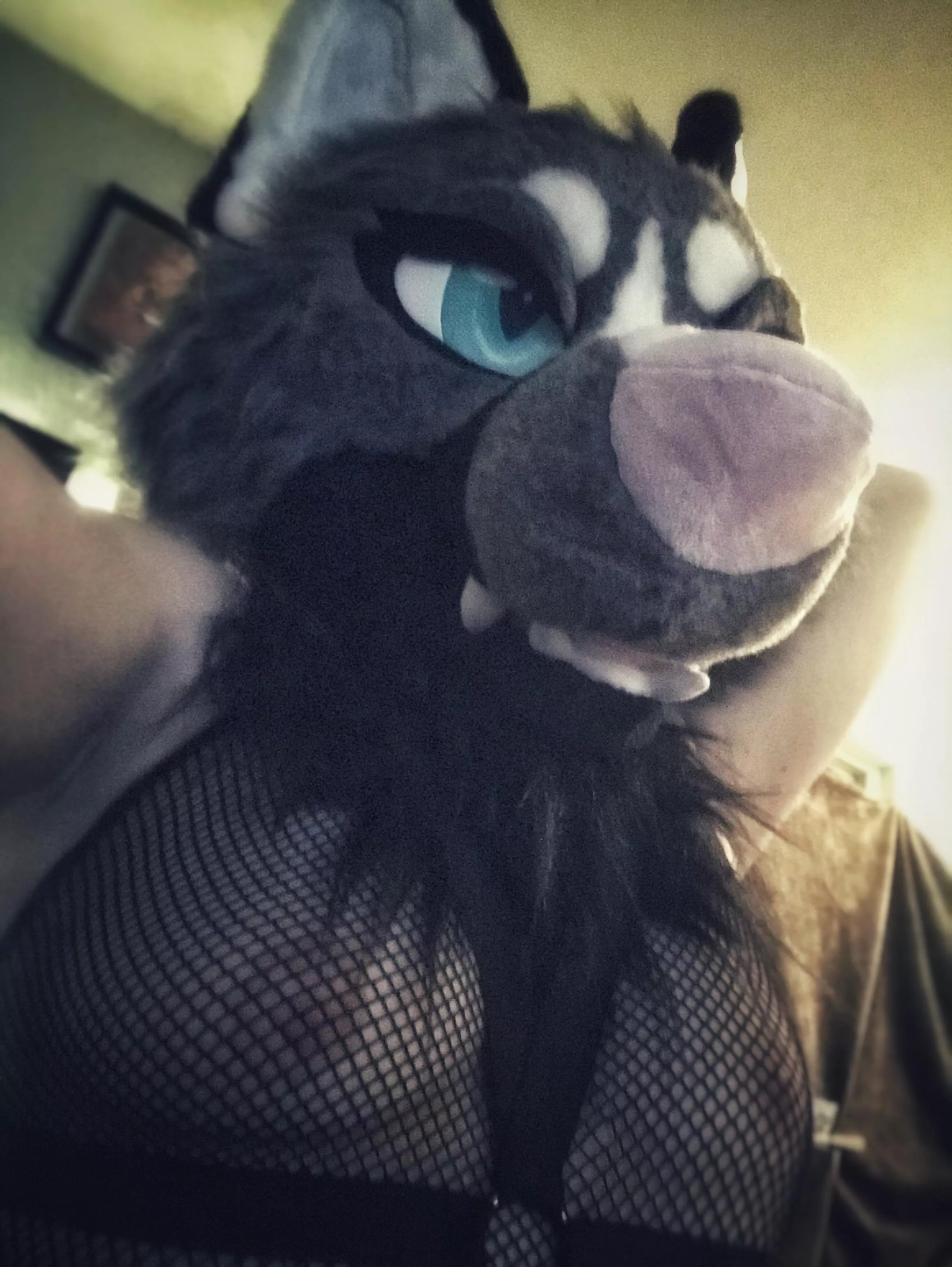 Fishnets are always a good choice.. Fishnets are always a good choice..