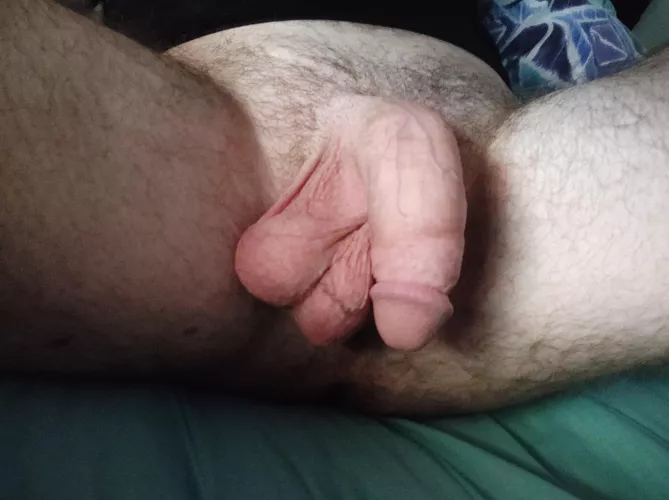 Fit them in your mouth? Fit them in your mouth?