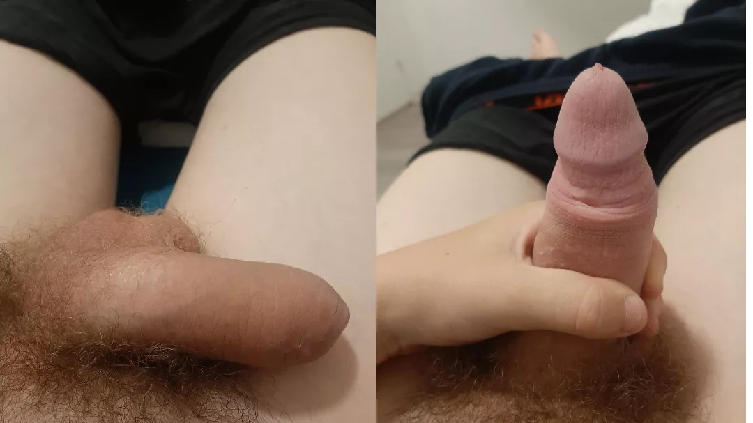 Flaccid Blowjob