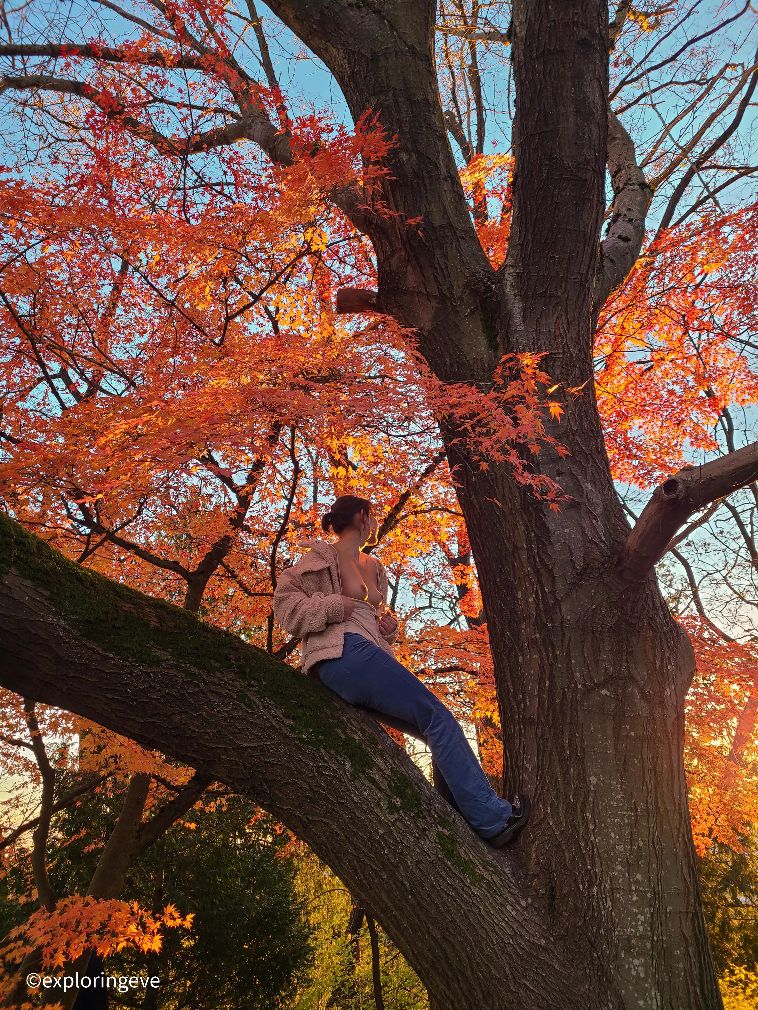 Flashing my tits to passerby's in the park 🙈
