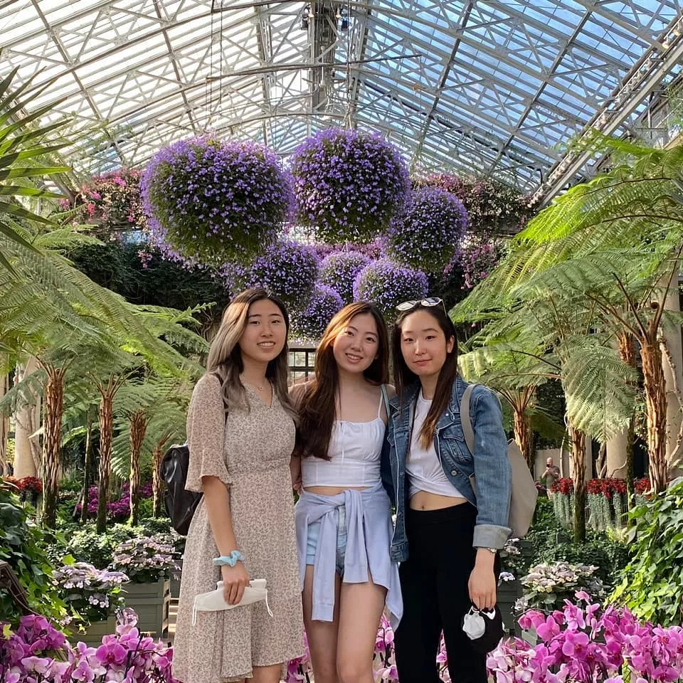 Flower Garden Flower Garden