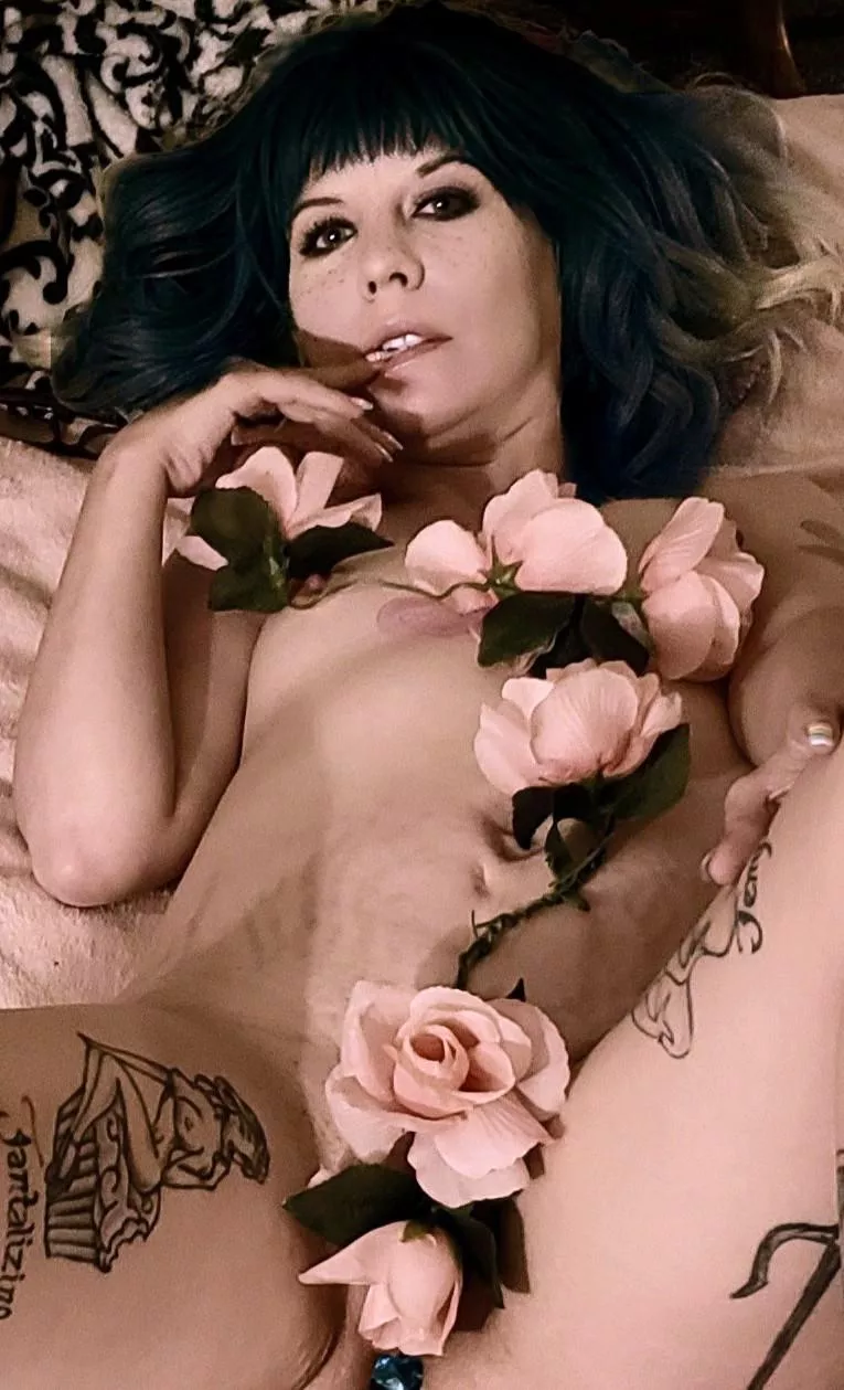 Flowers In Bloom Flowers In Bloom