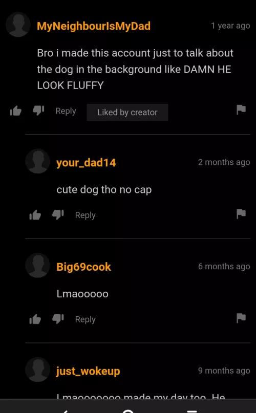 Fluffy dog