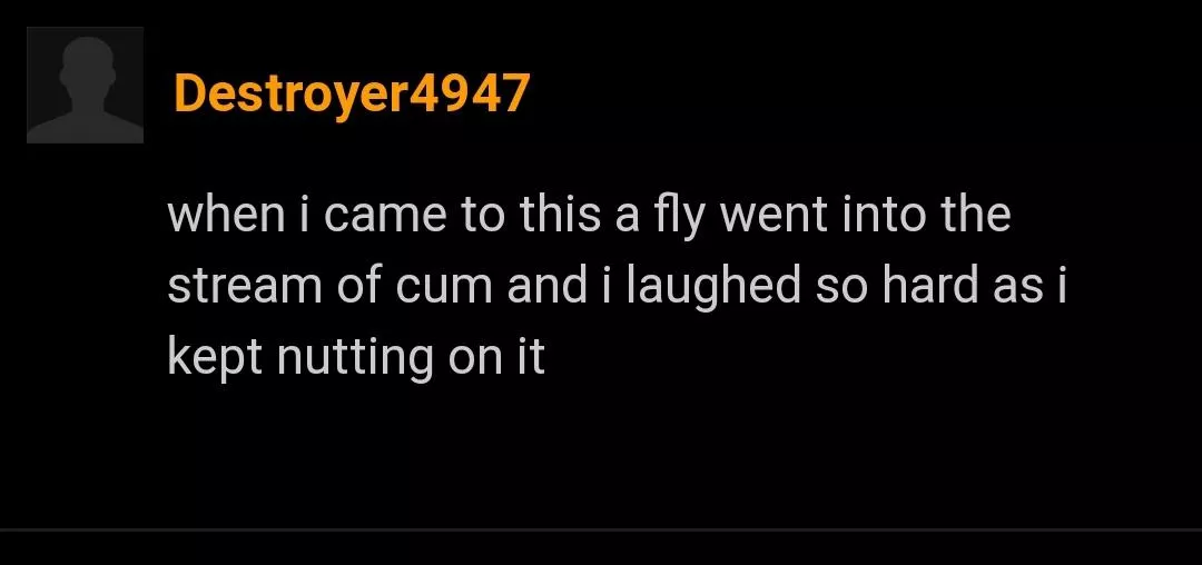 Fly torture Fly torture