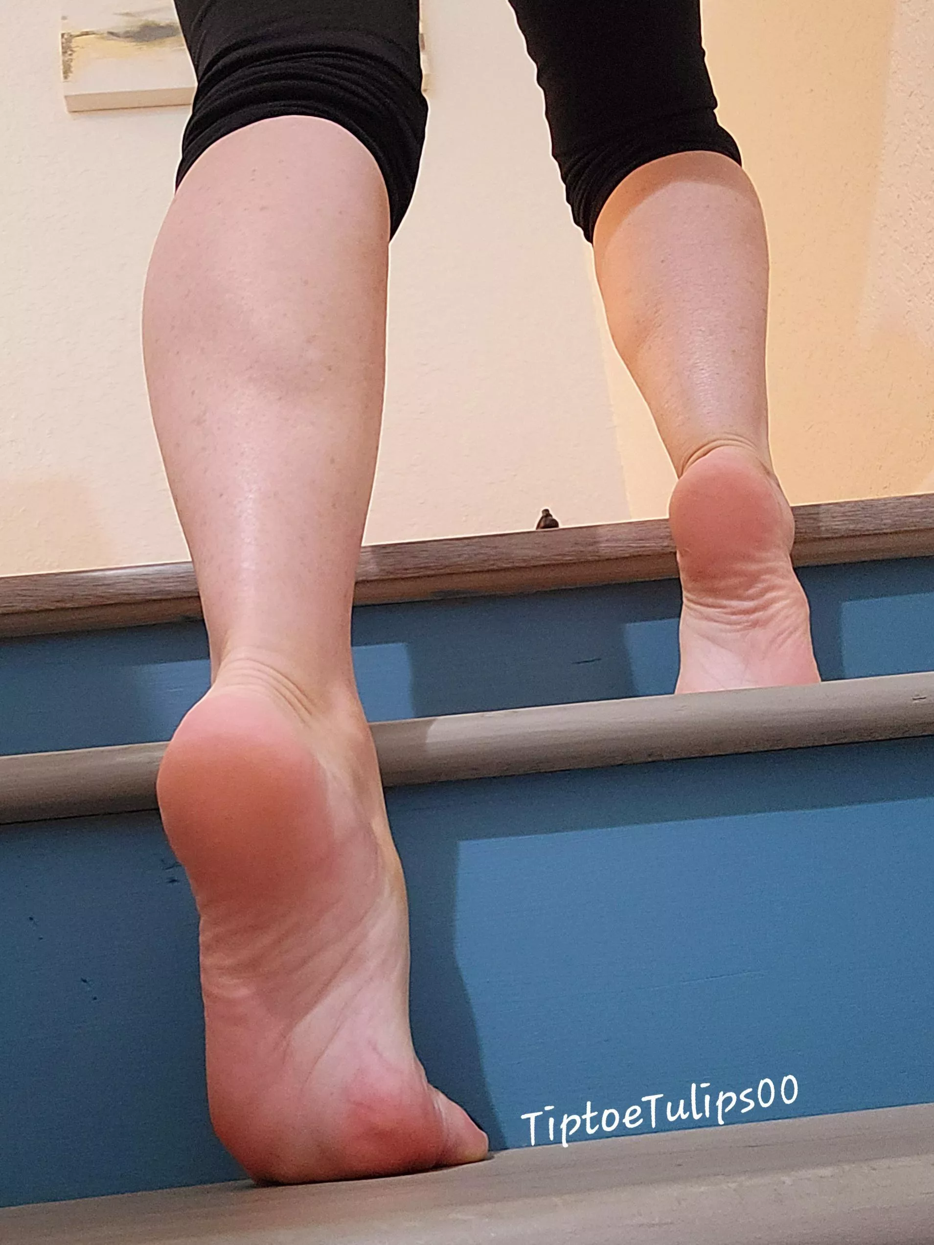 Follow me... the bedroom is this way Follow me... the bedroom is this way