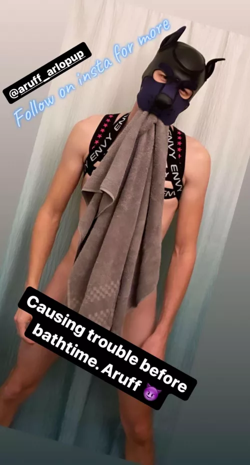 Follow my Instagram @aruff_arlopup 🐶🦴 Aruff!