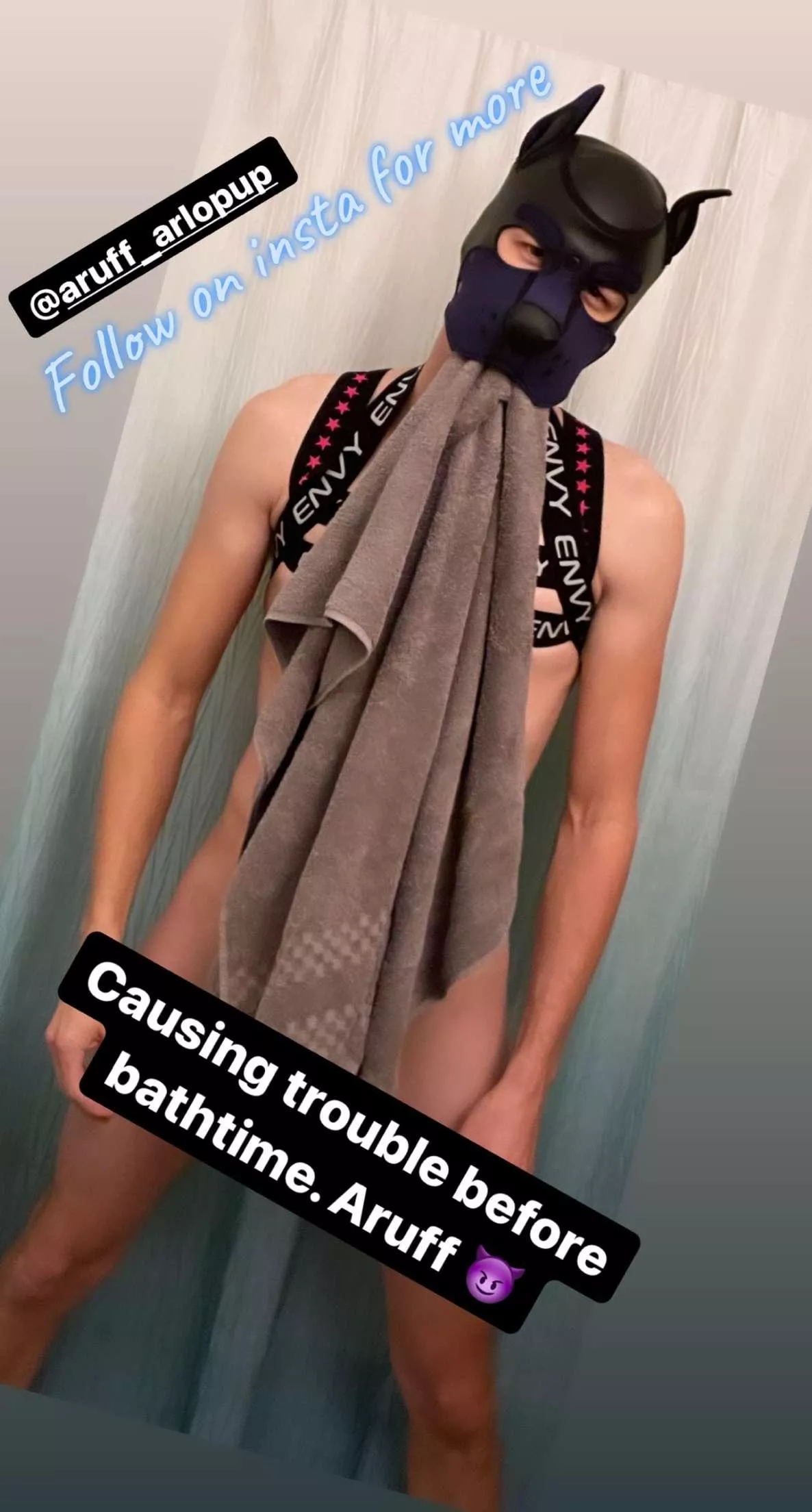 Follow my Instagram @aruff_arlopup 🐶🦴 Aruff!