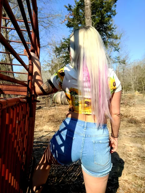 Follow the country girl โค She knows where the best hay bed is ๐