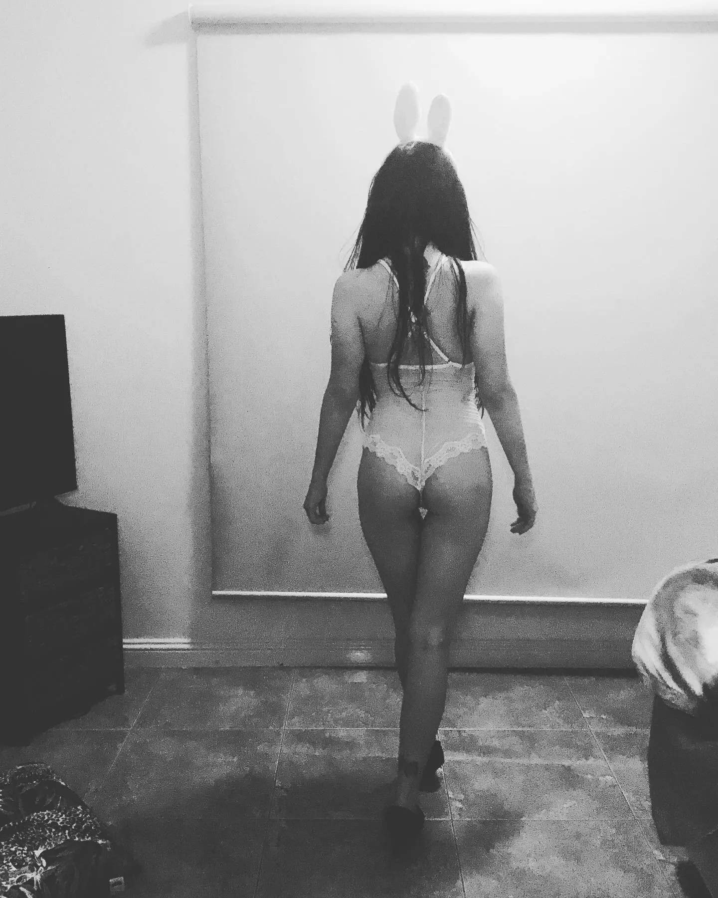 Follow the white rabbit 🐇