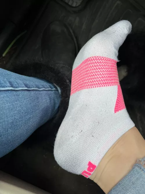 For all you smelly sock and ugg lovers. Here's what day 2 looks like. DM me if you want these or to have any curiosity. They're kinda cheesy already. PinkPonySocks is here for you.