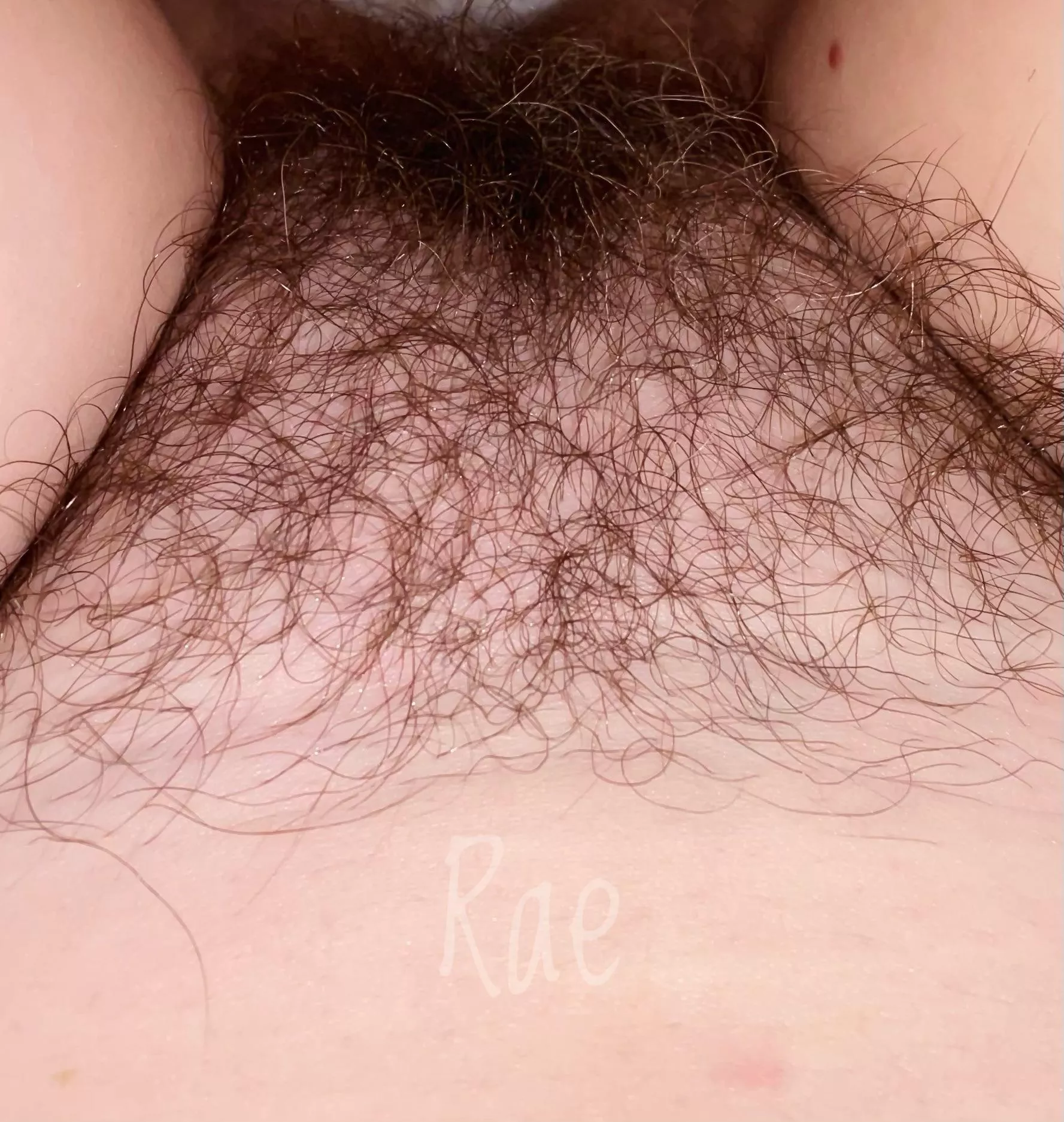 For the love of bush