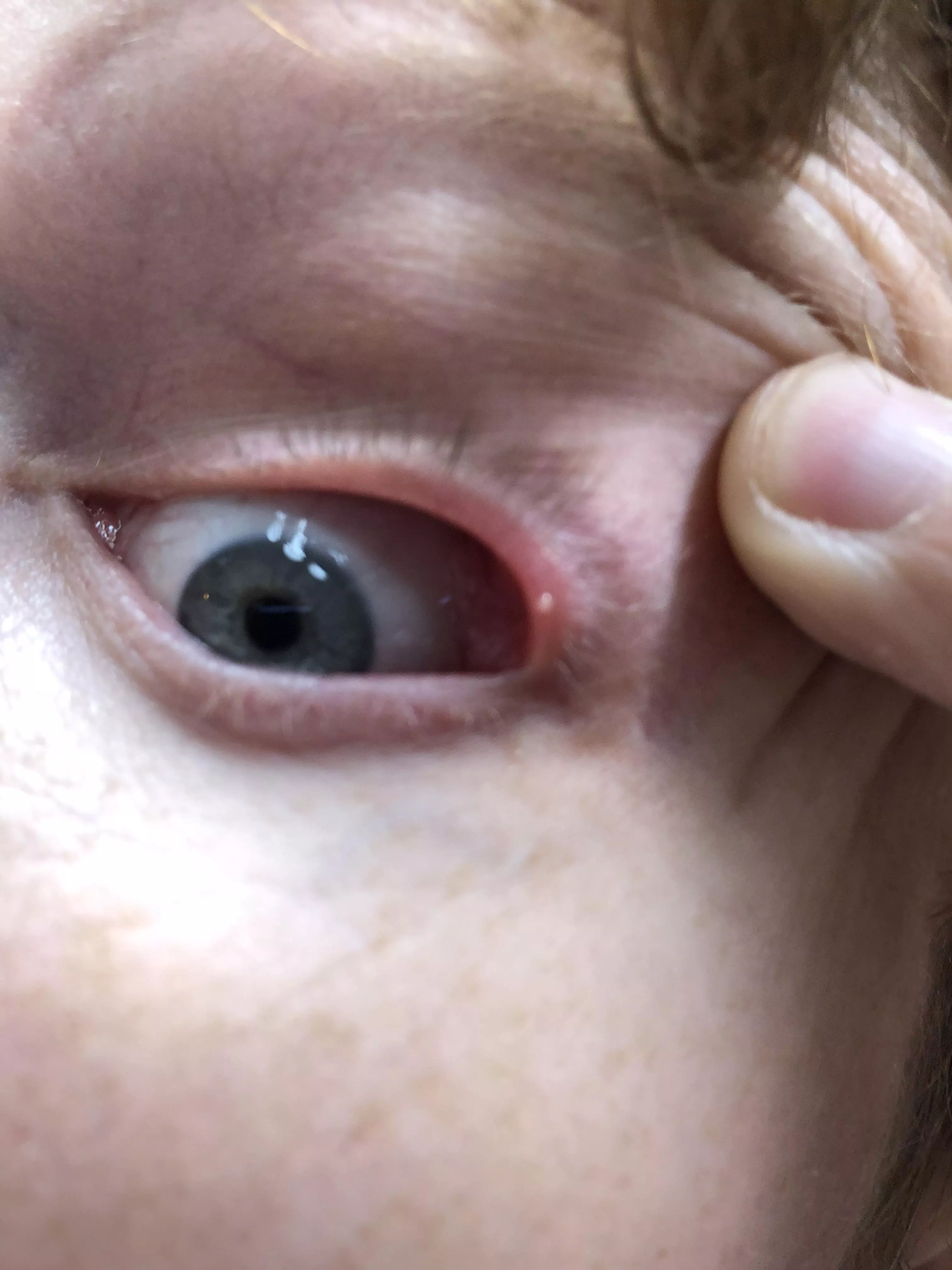 Forbidden pop that hurts like hellllllllllllllll.